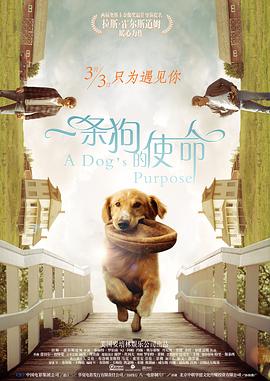 相互关系